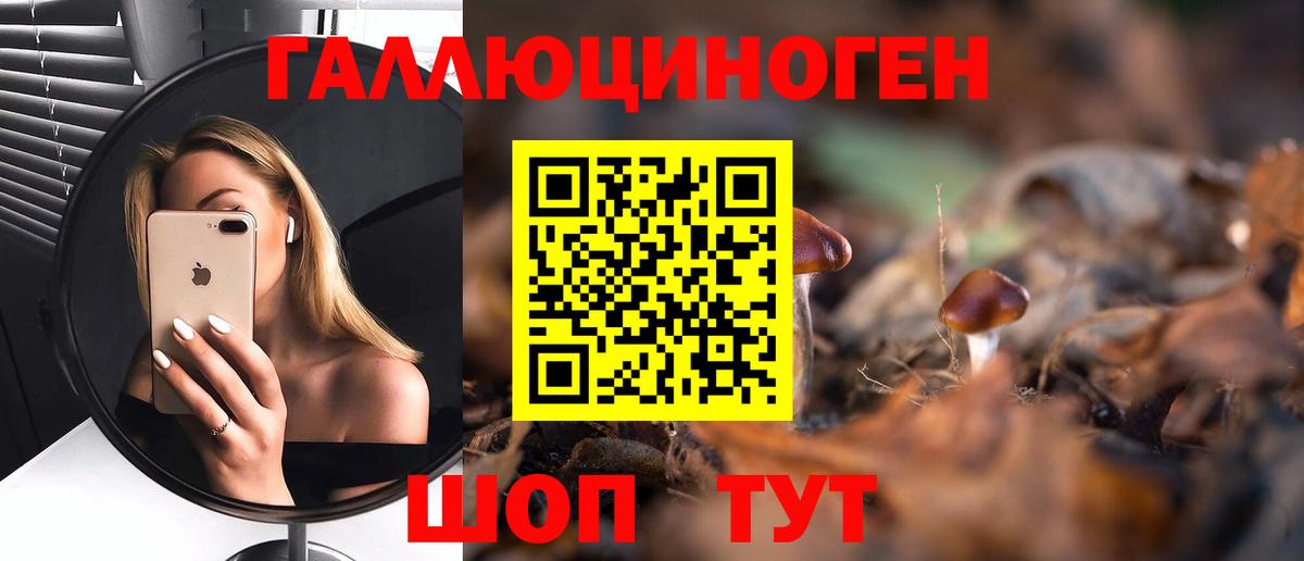 Псилоцибиновые грибы мицелий  Галлюциногенные грибы Magic Shrooms  Ялта  что такое наркотик  Вход с VPN 